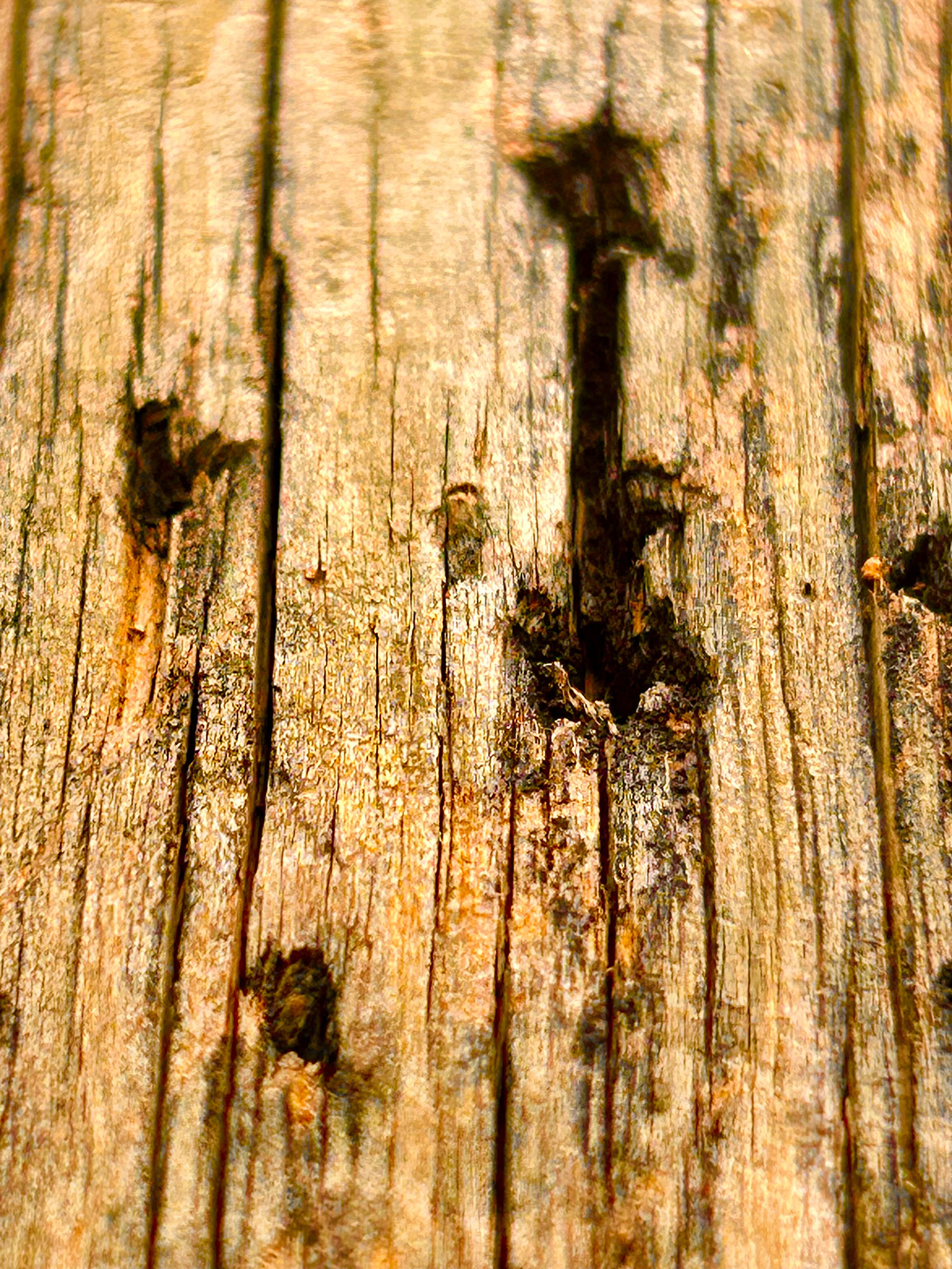 post beam replacment